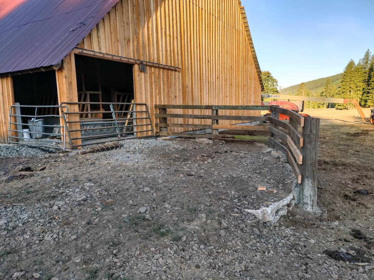 Tum Tum Springs Dairy - Amboy