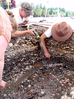 Wet Site Excavations, Thurston County