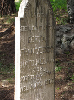 Rare wooden headstone, Roslyn Cemetery
